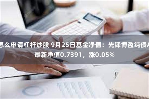 怎么申请杠杆炒股 9月25日基金净值：先锋博盈纯债A最新净值0.7391，涨0.05%