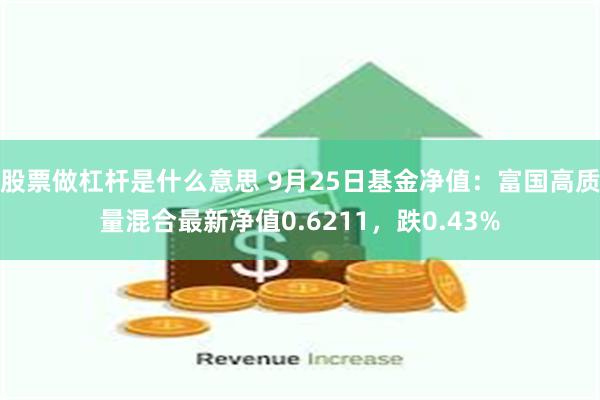 股票做杠杆是什么意思 9月25日基金净值：富国高质量混合最新