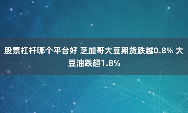 股票杠杆哪个平台好 芝加哥大豆期货跌越0.8% 大豆油跌超1.8%