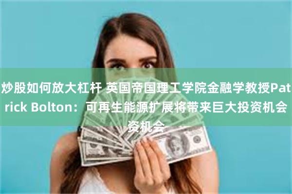 炒股如何放大杠杆 英国帝国理工学院金融学教授Patrick Bolton：可再生能源扩展将带来巨大投资机会