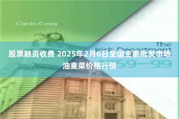 股票融资收费 2025年2月6日全国主要批发市场油麦菜价格行情