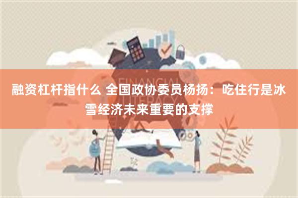 融资杠杆指什么 全国政协委员杨扬：吃住行是冰雪经济未来重要的支撑