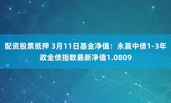 配资股票抵押 3月11日基金净值：永赢中债1-3年政金债指数最新净值1.0809