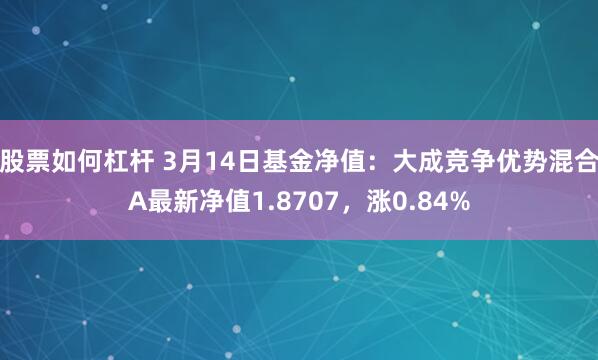 股票如何杠杆 3月14日基金净值：大成竞争优势混合A最新净值1.8707，涨0.84%